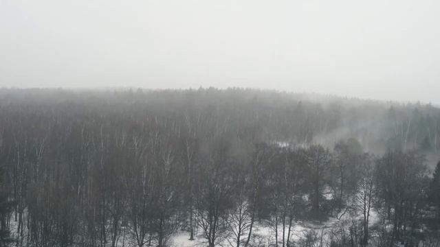 Как я бегал каждый день и что из этого получилось смотреть онлайн