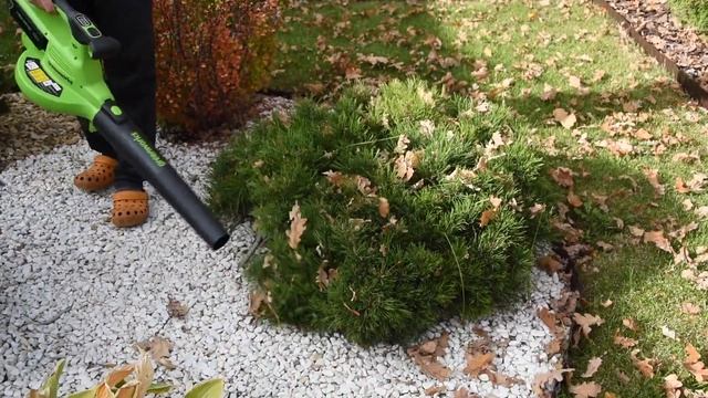Аккумуляторная воздуходувка–пылесос Greenworks GD40BVII обзор и ?тест? смотреть онлайн