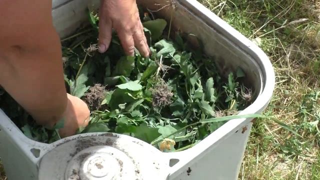 Подкормка Для ПЕРЦА И БАКЛАЖАНОВ. КАК Быстро Приготовить. Домашние советы. смотреть онлайн