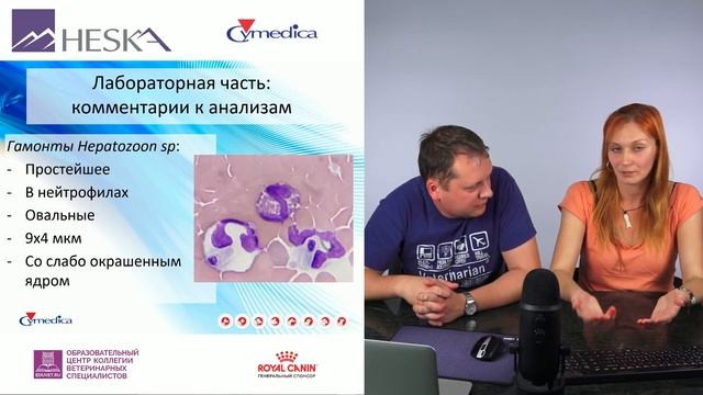 Глебова О. А., Солдатов А. А. - Лейкоцитарная формула с точки зрения лаборанта и терапевта смотреть онлайн
