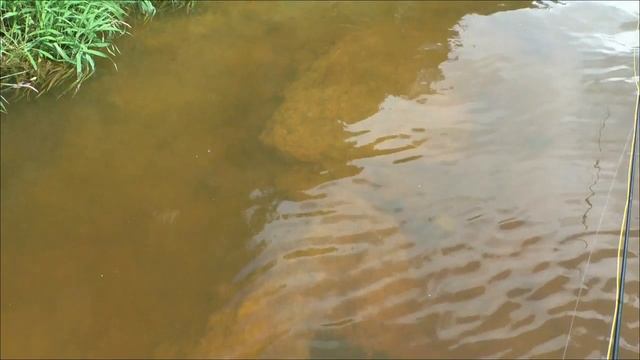 Река Чепца в картинках, Удмуртия.. смотреть онлайн