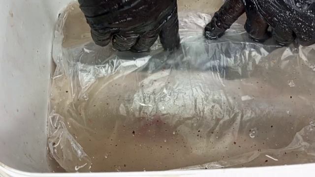 ГОРБУША холодного копчения - провисная смотреть онлайн