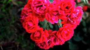 А я думал   Александр Марцинкевич