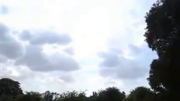 Сафа парк (Safa Park). Дубай.