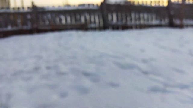 Пополнение в нашем хозяйстве. Купили бычков на откорм🐂. смотреть онлайн