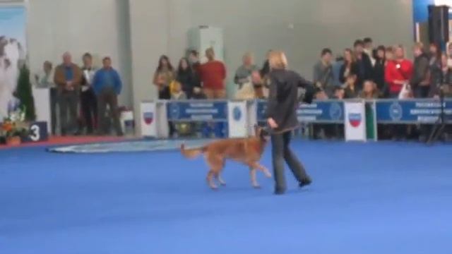 фристайл на "Россия-2011" смотреть онлайн