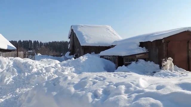 Кыскача очырашулар,курешуләр.(короткие встречи с односельчанами) смотреть онлайн