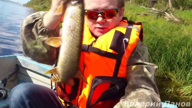 последняя щука лета 2015 смотреть онлайн