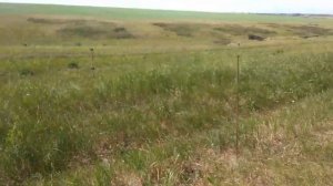 Установка электропастуха (the electric fence)