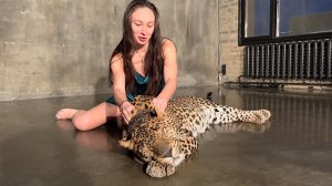 ЛЕОПАРД, МОЯ ДАВНЯЯ МЕЧТА / В гостях у Цезаря