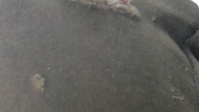 Замена обгонной муфты 172fmm(165-169fmm)