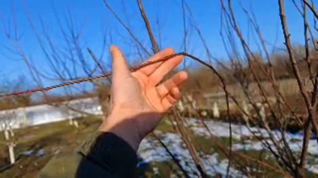 восстановление сада после очень сильной обрезки смотреть онлайн