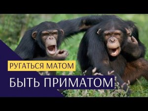 Вот почему нельзя ругаться матом. Тайны ДНК