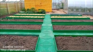 Что сделать, чтобы трава не росла на садовых дорожках?