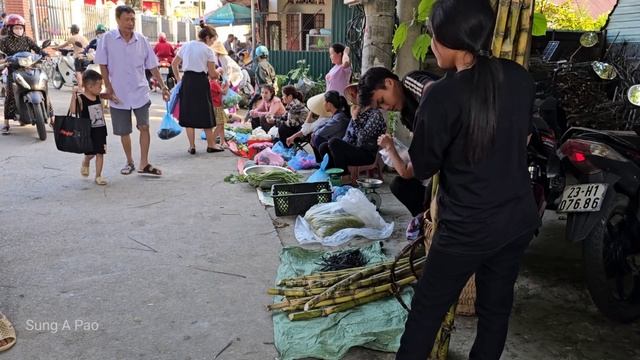 Sugarcane Harvesting: Assisting an Injured Elderly Farmer with a Sprained Leg | Sung A Pao смотреть онлайн