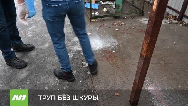ТРУП БЕЗ ШКУРЫ смотреть онлайн