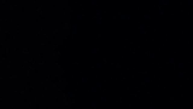 Парки в Орландо,Королевство Животных,Animal Kingdom, roller-coaster Orlando Disney World смотреть онлайн