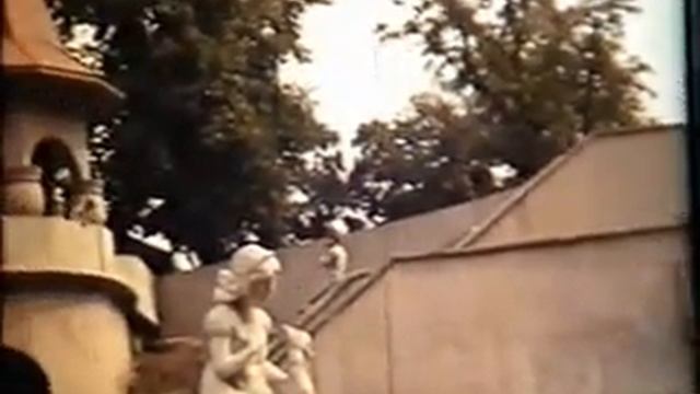Калининградский зоопарк смотреть онлайн