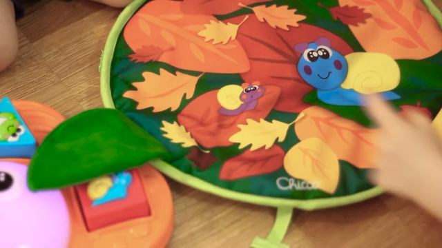 Chicco: Развивающий игровой центр 4 сезона 9м+  (00010155000000)