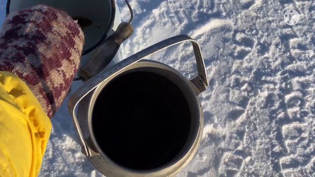 Адамовка. Ирине Жуковой-Сельхозтехники 11 . Я в Северный-Гадюкино за пропитанием.29 декабря 2021 г.