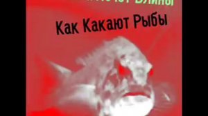 Сатана Печет Блины —  Как Какают Рыбы