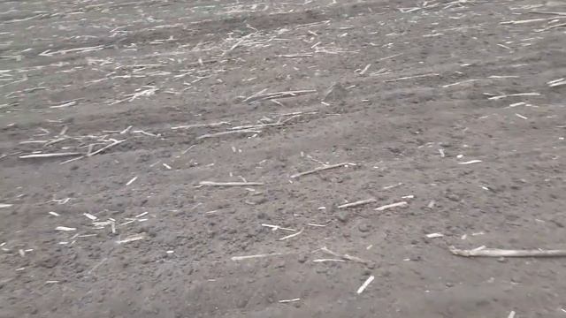 Посев 2021 ячьмень Гелиос смотреть онлайн