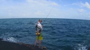 Ловля групера и саргана в Тайланде. АКУЛА. Коробка приманок для рыбалки на рифах. Favorite Team.