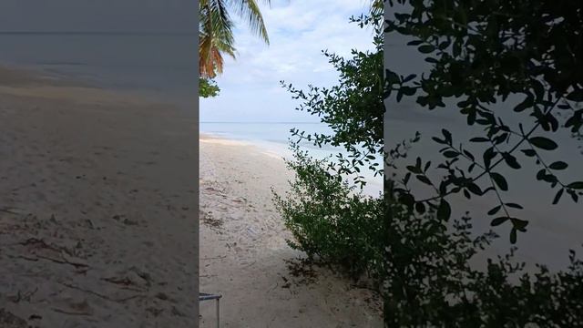 Plumeria Maldives. Мальдивы.