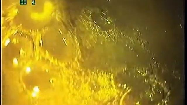 Способ борьбы с гельминтами Ветеринарная клиника Ярославль смотреть онлайн