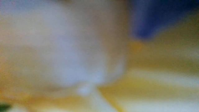 Спать пора, уснул бычок(Слон)наброски) смотреть онлайн