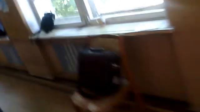 игра Зоопарк. Багира Крым смотреть онлайн