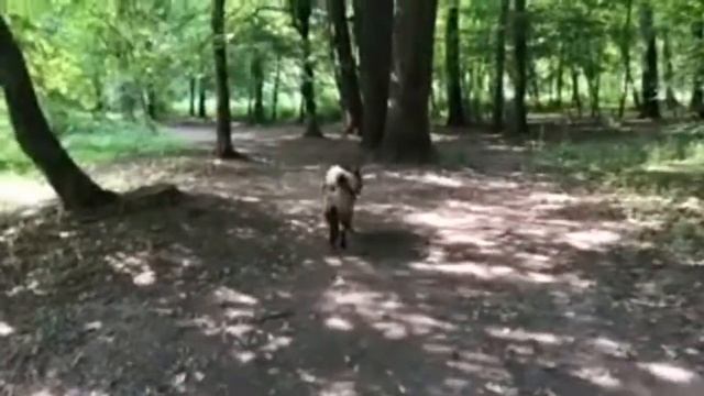 Диалог про Акит смотреть онлайн