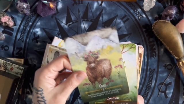 Review of the seasons of the witch Beltane Oracle from #rockpoolpublishing смотреть онлайн