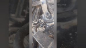 ЗМЗ 405 с бензином обороты плавают/газу даёшь глохнет/сняли провода ДВС и ГБО