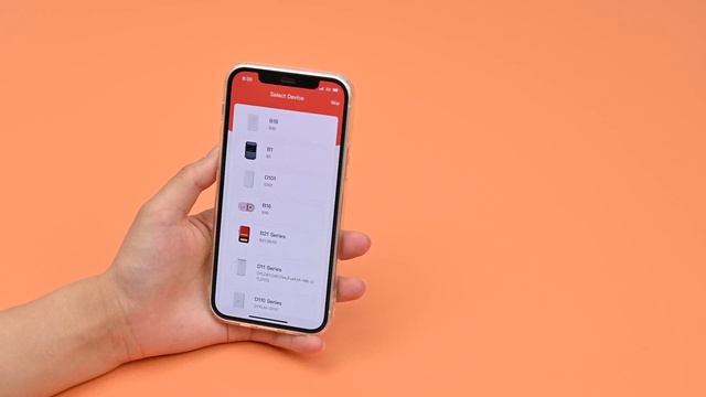 Подробная инструкция к принтеру этикеток NIIMBOT D11