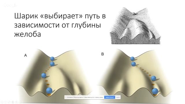 #171 Микориза бесплатно. Стимуляция трихом смотреть онлайн