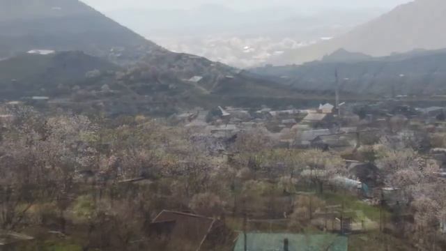 Крым, Судак, Дачное - село в разгар цветения миндаля, март 2017 смотреть онлайн