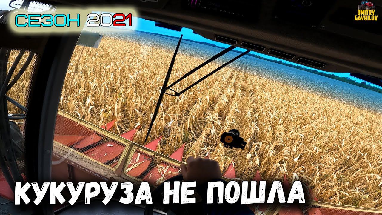 Кукуруза не пошла, что дальше? смотреть онлайн