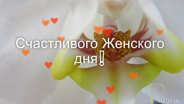 Пожелания к 8 марта 💞💐 смотреть онлайн