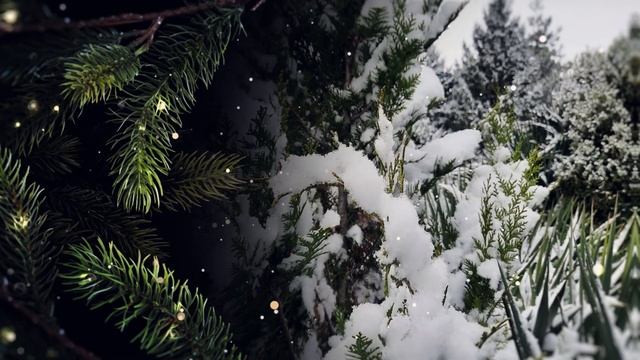 С Наступающим Новым годом! г Твардица смотреть онлайн