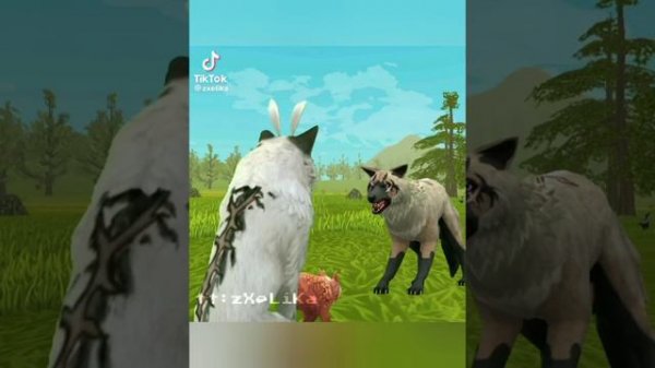 Wild Craft Tik Tok Compilation|Подборка видео Wild Craft из Тик Тока