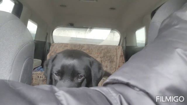 21 марта 2023 г. смотреть онлайн