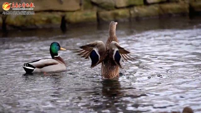 Enchanting Beauty Of Xinjiang, China | Amazing View Of Urumqi City In Winter