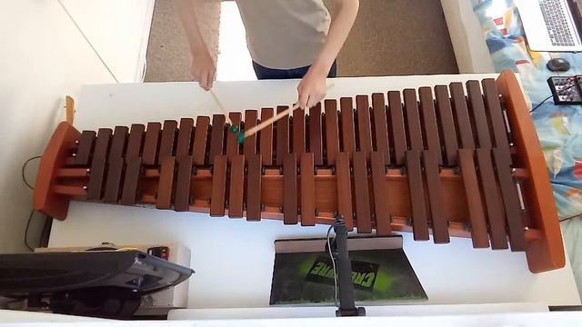 Minuet in G BWV Ann. 116 Xylophone смотреть онлайн