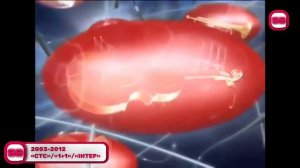 История заставок программ «Самый умный» и «Умнее всех»