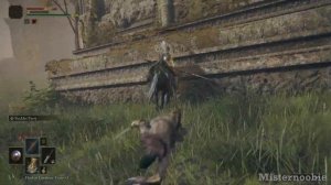 Get Ash of War: Golden Vow and Partisan - Elden Ring
