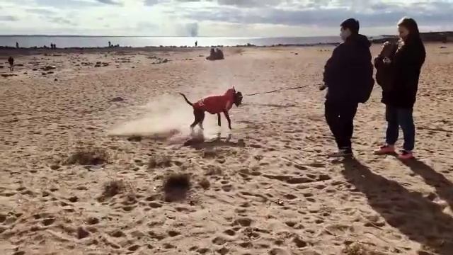 SAINT PETERSBURG/Чернышевская/Парк 300-летия/Выборг и другие места смотреть онлайн