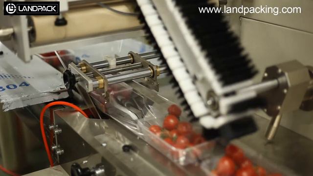 Automatic fruit and vegetable packing machine.Cherry Tomatoes смотреть онлайн