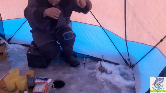 Открытие зимнего сезона 2022-2023 Истра смотреть онлайн