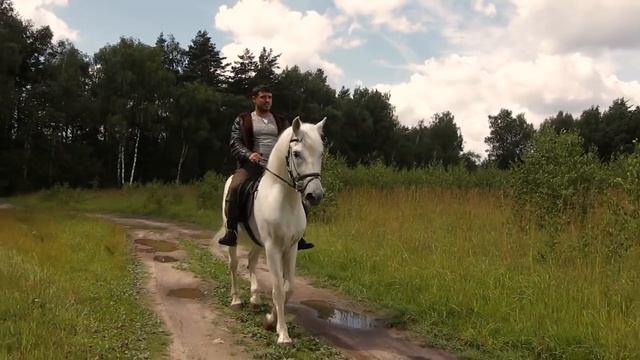 Белый конь смотреть онлайн